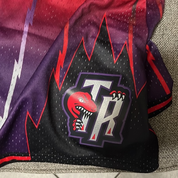 Hardwood Classics Toronto Raptors short - Picture 3 of 5